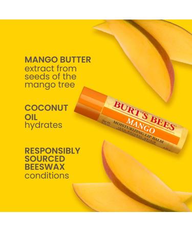 Discover Burt's Bees Superfruit Lip Balm 4-Pack 4 ct - Elevate Your Style Instantly! - Buy Online on GoSupps.com