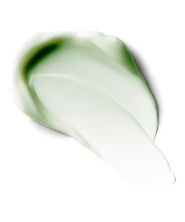 Hempz Exotic Green Tea & Asian Pear Herbal Body Moisturizer 17.0 oz - Transform Your Style with the Best Innovation Today! - Buy Online on GoSupps.com