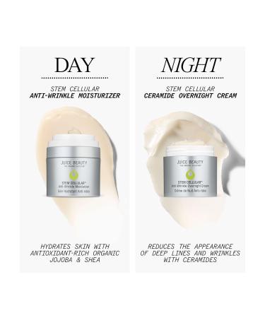 Discover Juice Beauty STEM CELLULAR Anti-Wrinkle Ceramide Overnight Cream 1.7 oz - Elevate Your Style Instantly! - Buy Online on GoSupps.com