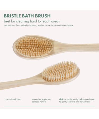 EcoTools Long Handle Bath Bristle Brush 1 ct - Transform Your Style with the Best Innovation Today! - Buy Online on GoSupps.com