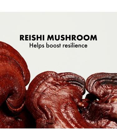 Origins Dr. Andrew Weil Mega-Mushroom Micellar Cleanser 6.7 oz - Transform Your Style with the Best Innovation Today! - Buy Online on GoSupps.com