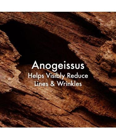 Origins Plantscription Anti-Aging Power Eye Cream 0.5 oz - Discover Premium Quality Shop now! - Buy Online on GoSupps.com