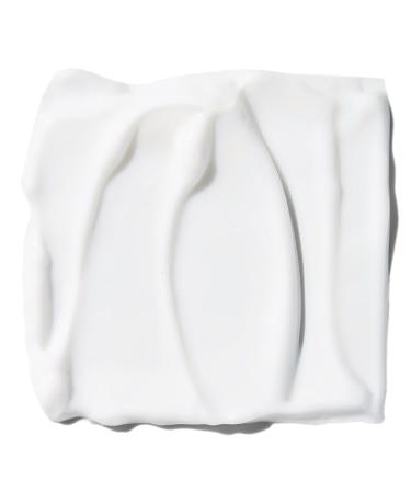 e.l.f. Cosmetics Holy Hydration! Daily Moisturizer 2.53 oz - Transform Your Style with the Best Innovation Today! - Buy Online on GoSupps.com