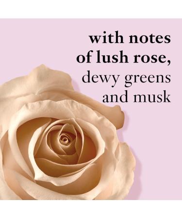 Discover Philosophy Pure Grace Nude Rose Eau de Toilette 2.0 oz - Elevate Your Style Instantly! - Buy Online on GoSupps.com