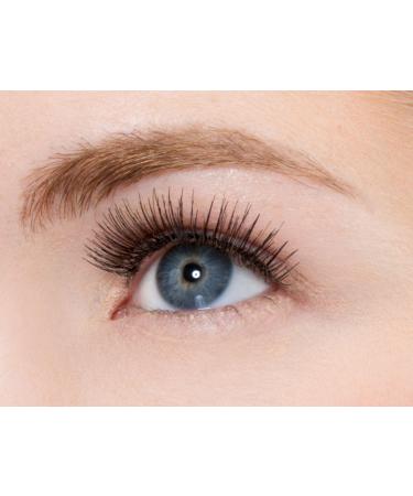 Kiss So Wispy False Eyelashes Multipack, 5 pairs - #01 - Discover Premium Quality Shop now! - Buy Online on GoSupps.com