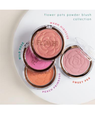 FLOWER Beauty Flower Pots Powder Blush Berry-More 0.21 oz - Transform Your Style with the Best Innovation Today! - Buy Online on GoSupps.com