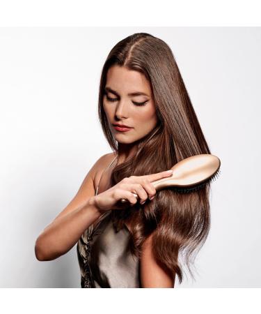 The Hair Edit Gold Finish & Shine Boar Bristle Brush - Transform Your Style with the Best Innovation Today! - Buy Online on GoSupps.com