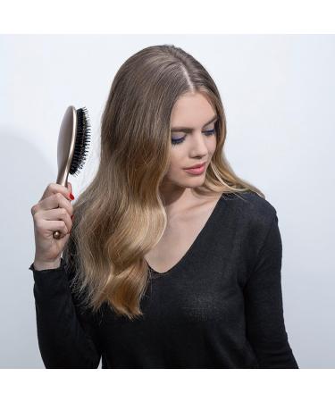 The Hair Edit Gold Finish & Shine Boar Bristle Brush - Transform Your Style with the Best Innovation Today! - Buy Online on GoSupps.com