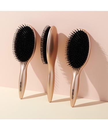 The Hair Edit Gold Finish & Shine Boar Bristle Brush - Transform Your Style with the Best Innovation Today! - Buy Online on GoSupps.com