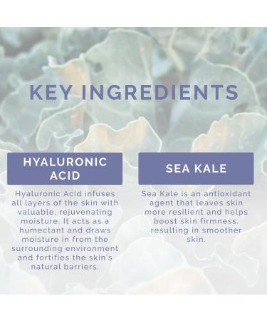 Discover Vitamins and Sea beauty Sea Kale & Hyaluronic Acid Complex Rejuvenating Skin Serum 2.0 oz - Elevate Your Style Instantly! - Buy Online on GoSupps.com