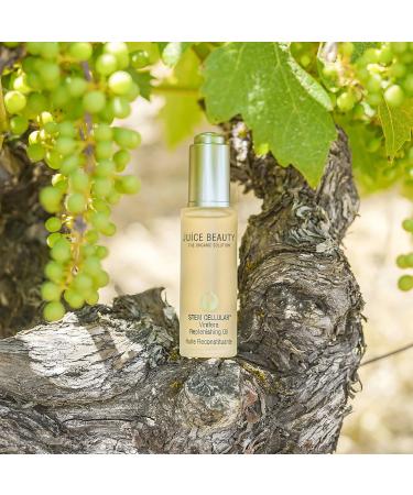 Juice Beauty STEM CELLULAR Vinifera Replenishing Oil 1.0 oz - Transform Your Style with the Best Innovation Today! - Buy Online on GoSupps.com