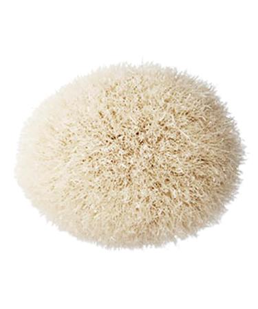 MAC 168 Synthetic Large Angled Contour Brush - Discover Premium Quality Shop now! - Buy Online on GoSupps.com