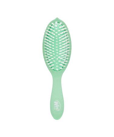 Discover Wet Brush Go Green Tea Tree Oil Infused Treatment & Shine Brush - Elevate Your Style Instantly! - Buy Online on GoSupps.com
