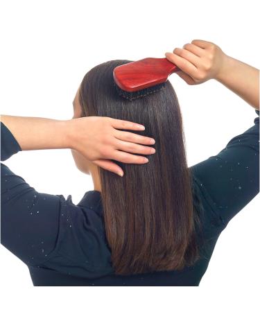 Discover Wigo Smooth and Shine Boar Bristle Club Hair Brush 1 ct - Elevate Your Style Instantly! - Buy Online on GoSupps.com
