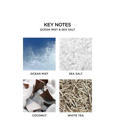 NEST New York Ocean Mist & Sea Salt Reed Diffuser 5.9 oz - Transform Your Style with the Best Innovation Today! - Buy Online on GoSupps.com