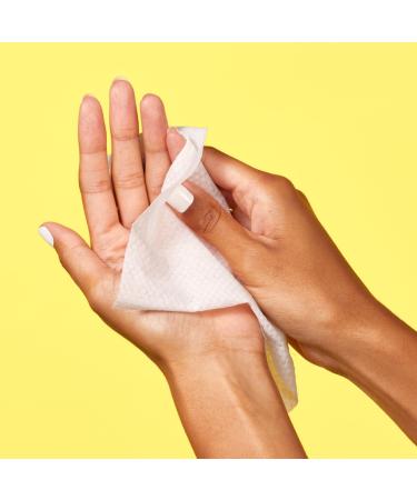 Beekman 1802 Pure Goat Milk Facial Cleansing Wipes 30 ct - Transform Your Style with the Best Innovation Today! - Buy Online on GoSupps.com