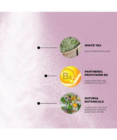 Chi Wake + Fake Soothing Dry Shampoo 5.3 oz - Transform Your Style with the Best Innovation Today! - Buy Online on GoSupps.com