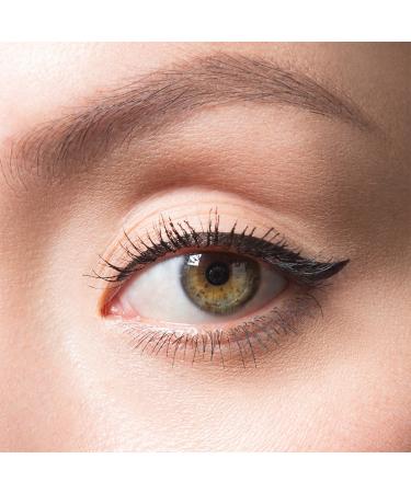 LORAC PRO Liquid Eyeliner Black - Transform Your Style with the Best Innovation Today! - Buy Online on GoSupps.com