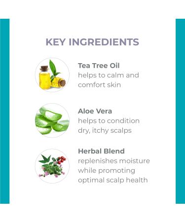 DERMA E Tea Tree Oil Scalp Relief Treatment 1.0 oz - Transform Your Style with the Best Innovation Today! - Buy Online on GoSupps.com