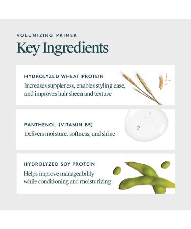 Virtue Style-Setting Volumizing Primer 5.0 oz - Transform Your Style with the Best Innovation Today! - Buy Online on GoSupps.com