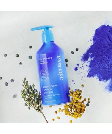 Eva Nyc Brass to Sass Brunette Shampoo 8.8 oz - Transform Your Style with the Best Innovation Today! - Buy Online on GoSupps.com