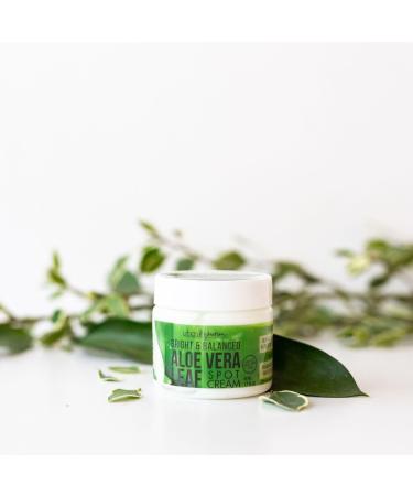 Urban Hydration Bright & Balanced Aloe Vera Spot Cream 1.7 oz - Discover Premium Quality Shop now! - Buy Online on GoSupps.com