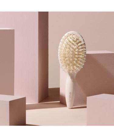 The Hair Edit Mini Finish & Shine Boar Bristle Brush - Transform Your Style with the Best Innovation Today! - Buy Online on GoSupps.com