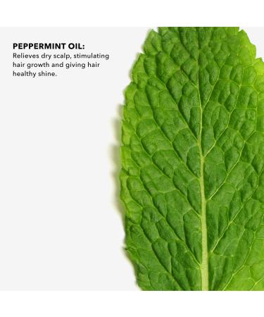 Sunday || Sunday Peppermint Essential Oil 1.0 oz - Discover Premium Quality Shop now! - Buy Online on GoSupps.com
