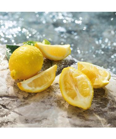 Dolce&Gabbana Light Blue Pour Homme Eau de Toilette Travel Spray 0.33 oz - Transform Your Style with the Best Innovation Today! - Buy Online on GoSupps.com