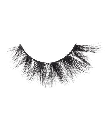 Kiss Lash Couture Masterpiece Cruise False Lashes - Discover Premium Quality Shop now! - Buy Online on GoSupps.com