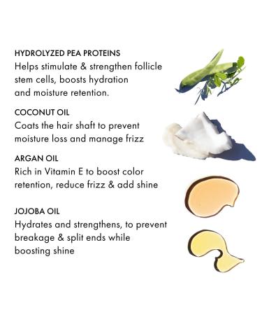 Discover FEKKAI Prep and Prime Mist 5.0 oz - Elevate Your Style Instantly! - Buy Online on GoSupps.com