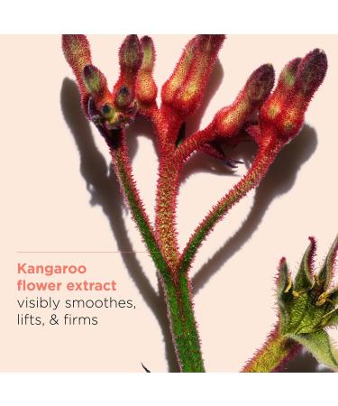 Clarins Extra-Firming & Smoothing Night Moisturizer 1.6 oz - Transform Your Style with the Best Innovation Today! - Buy Online on GoSupps.com