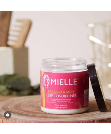 Discover Mielle Babassu Oil & Mint Deep Conditioner 8.0 oz - Elevate Your Style Instantly! - Buy Online on GoSupps.com
