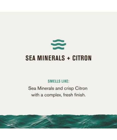 Discover Every Man Jack Sea Salt Hydrating Beard + Face Wash 6.7 oz - Elevate Your Style Instantly! - Buy Online on GoSupps.com