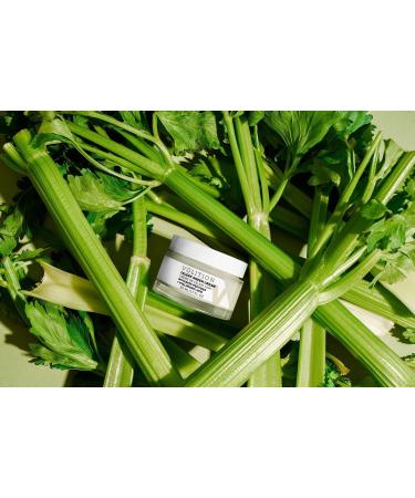 VOLITION Celery Green Cream with Hyaluronic Acid + Peptides 1.7 oz - Transform Your Style with the Best Innovation Today! - Buy Online on GoSupps.com