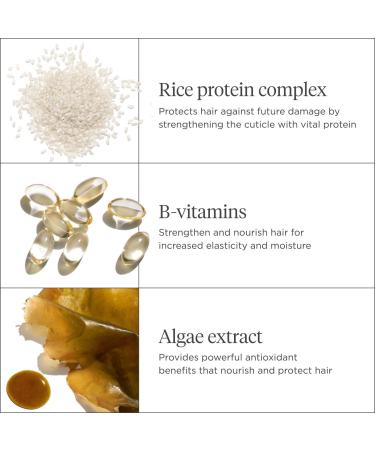 Briogeo Don't Despair, Repair! Rice Water Protein + Moisture Strengthening Hair Treatment - Discover Premium Quality Shop now! - Buy Online on GoSupps.com