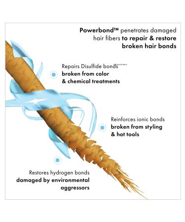 FEKKAI Super Strength+ Protein Powerbond Mist 5.0 oz - Transform Your Style with the Best Innovation Today! - Buy Online on GoSupps.com