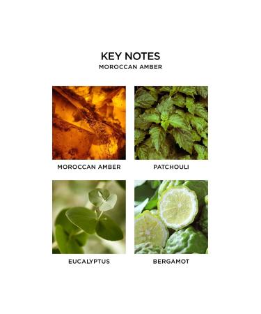 Discover NEST New York Moroccan Amber Reed Diffuser - Elevate Your Style Instantly! - Buy Online on GoSupps.com