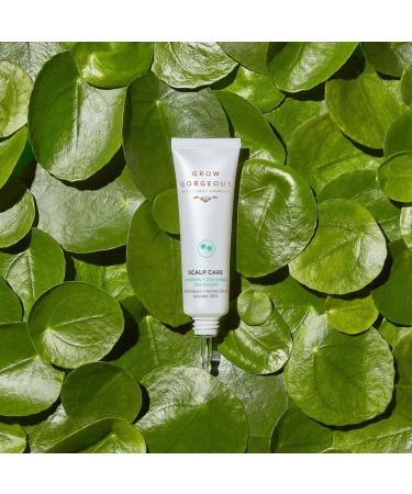 Grow Gorgeous Scalp Care Soothing Cica Extract 25% Booster + Prebiotic - Transform Your Style with the Best Innovation Today! - Buy Online on GoSupps.com