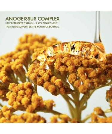 Origins Plantscription Wrinkle Correction Eye Cream with Encapsulated Retinol 0.5 oz - Transform Your Style with the Best Innovation Today! - Buy Online on GoSupps.com