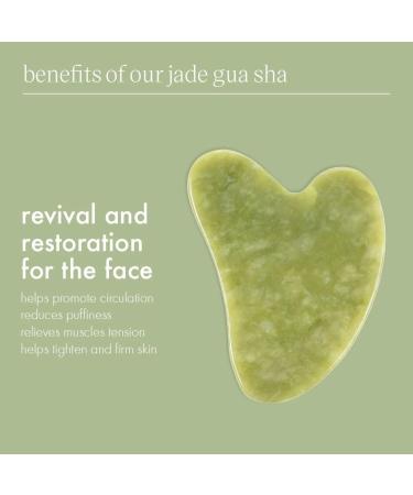 Discover EcoTools Jade Gua Sha Skincare Tool 1 ct - Elevate Your Style Instantly! - Buy Online on GoSupps.com