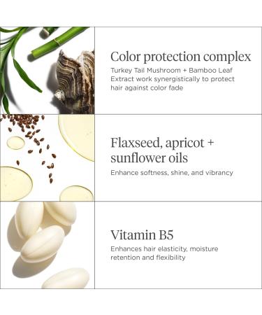 Briogeo Color Me Brilliant Mushroom + Bamboo Color Protect Shampoo 8.0 oz - Transform Your Style with the Best Innovation Today! - Buy Online on GoSupps.com