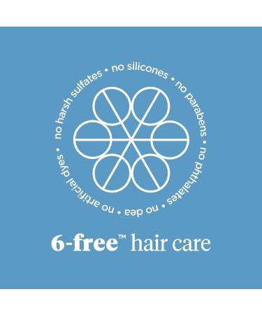 Briogeo Color Me Brilliant Mushroom + Bamboo Color Protect Shampoo 8.0 oz - Transform Your Style with the Best Innovation Today! - Buy Online on GoSupps.com