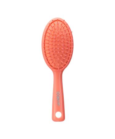Discover Conair Color Pops Detangle & Style Brush Set - Elevate Your Style Instantly! - Buy Online on GoSupps.com