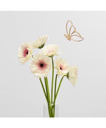 The Hair Edit Gold Gilded Wing Butterfly Claw Clip - Discover Premium Quality Shop now! - Buy Online on GoSupps.com