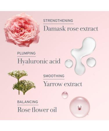fresh Rose & Hyaluronic Acid Lightweight Moisturizer 3.3 oz - Transform Your Style with the Best Innovation Today! - Buy Online on GoSupps.com