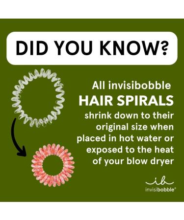 Invisibobble ORIGINAL Hair Ties - Save It or Waste It 3 ct - Discover Premium Quality Shop now! - Buy Online on GoSupps.com