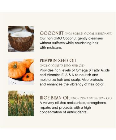 Innersense Organic Beauty Bright Balance Conditioner 10.0 oz - Transform Your Style with the Best Innovation Today! - Buy Online on GoSupps.com