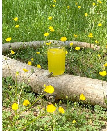 GOLDE Pineapple Debloat Probiotic Bloat Supplement 8 ct - Discover Premium Quality Shop now! - Buy Online on GoSupps.com