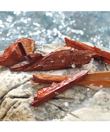 Discover Dolce&Gabbana Light Blue Summer Vibes Pour Homme Eau de Toilette 4.2 oz - Elevate Your Style Instantly! - Buy Online on GoSupps.com